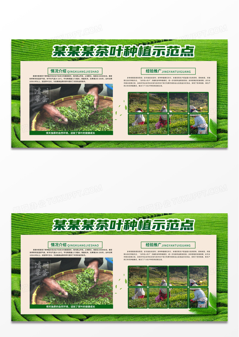 绿色清新简约茶叶种植示范点农业宣传展板宣传栏设计