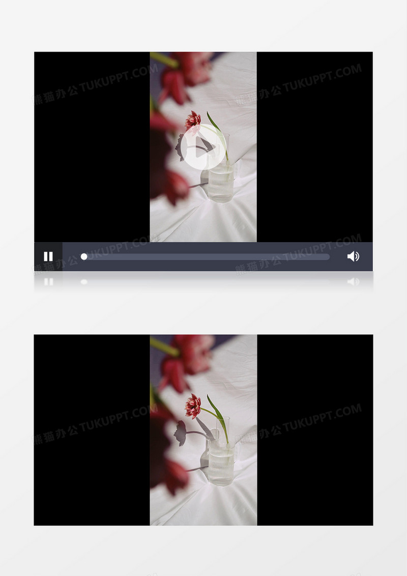插在水瓶中的红色花朵实拍竖版视频素材