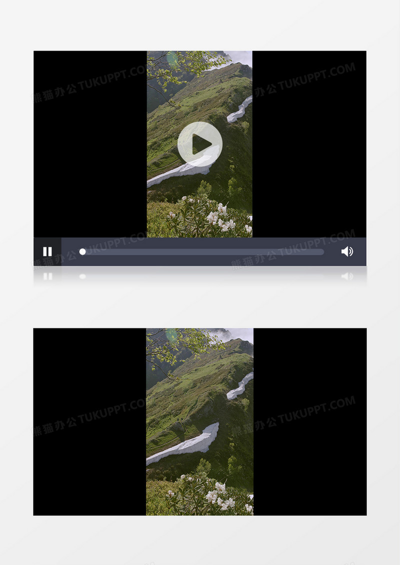 高清实拍山川的绿植和花朵实拍竖版视频素材