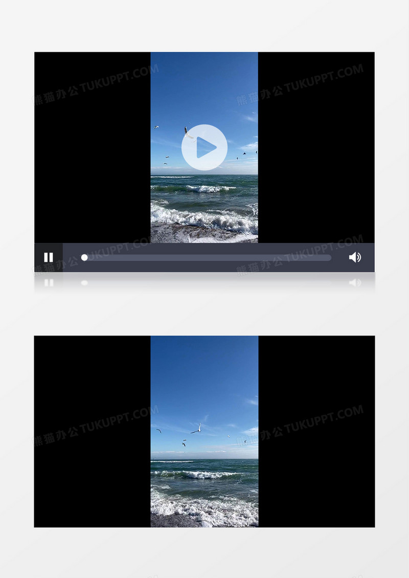 慢动作实拍海边翻涌的海水和飞翔的海鸥实拍竖版视频素材