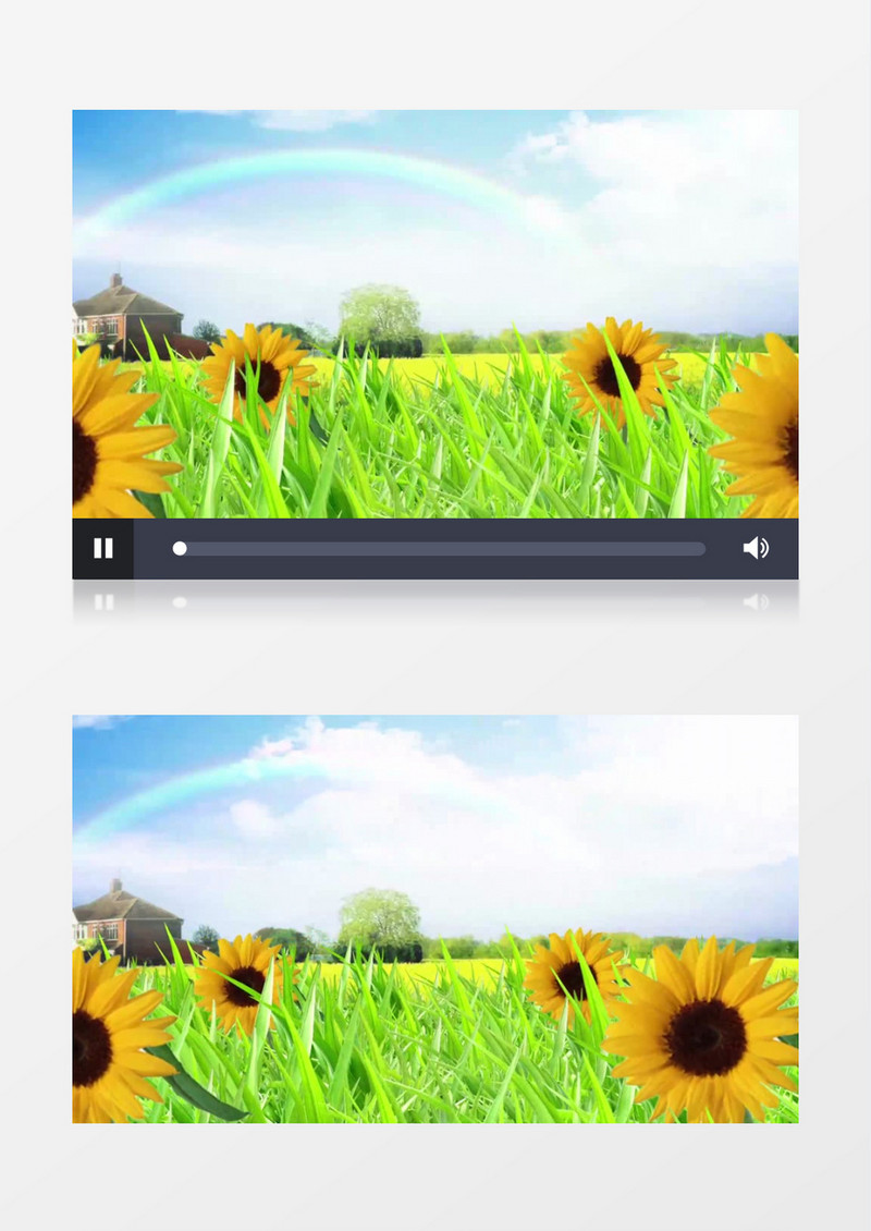 彩虹草地向日葵有音乐背景视频素材