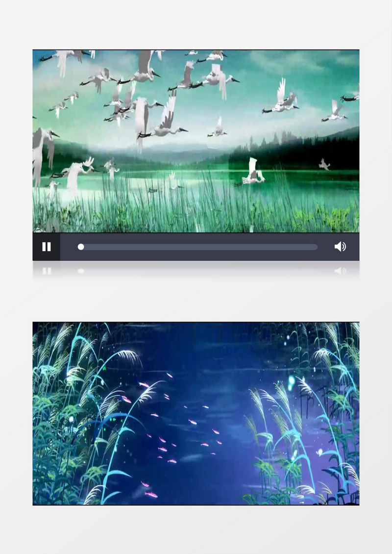 鹤舞有音乐背景视频素材