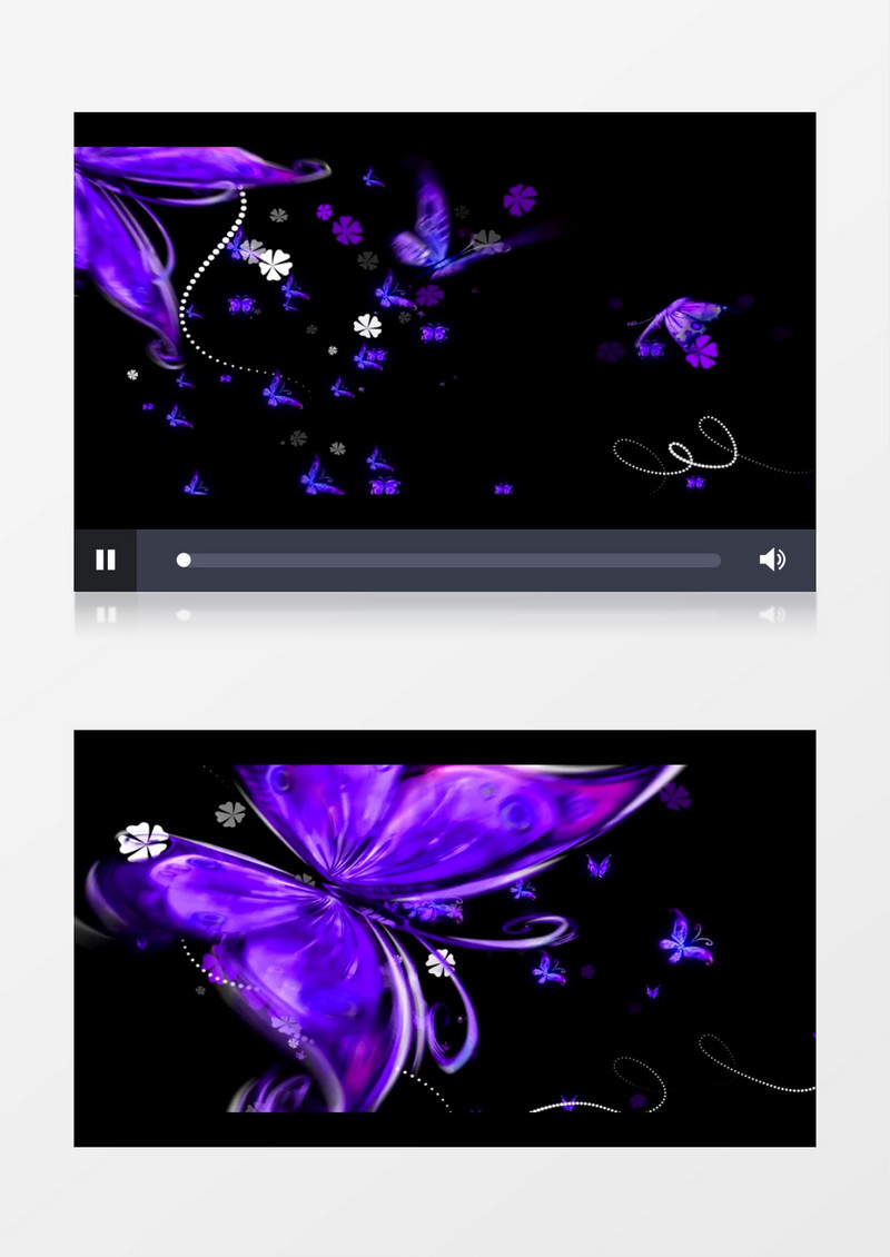 唯美梦幻紫色漂亮蝴蝶背景视频（有音乐）
