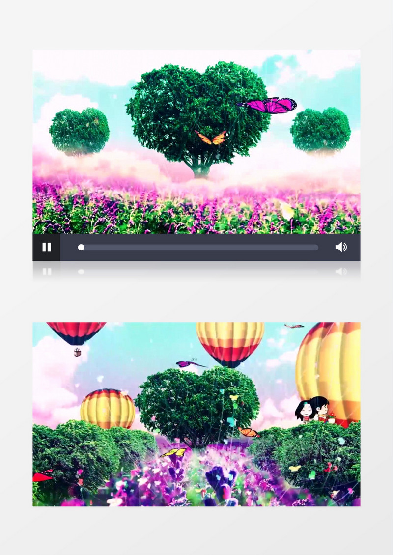 漂亮的紫色薰衣草背景视频（有音乐）