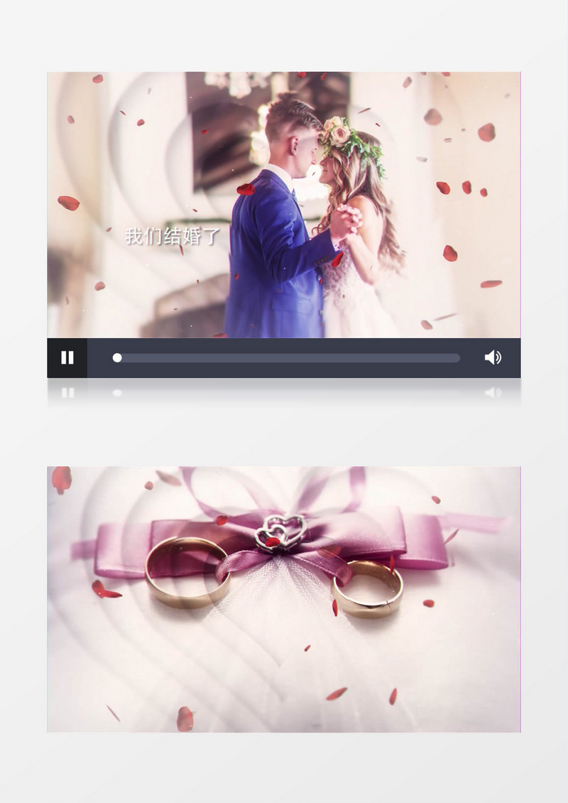 动态浪漫玫瑰花瓣相册照片开场AE视频模板