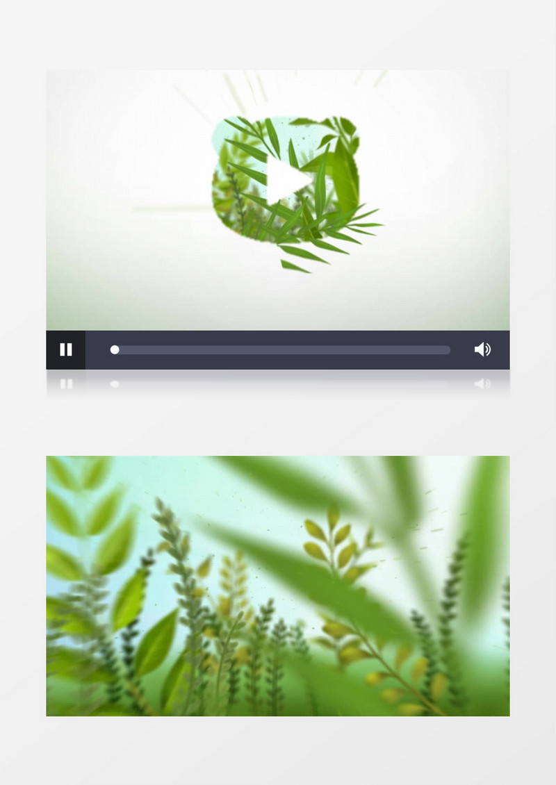 清新自然植物logo标志展示ae模版