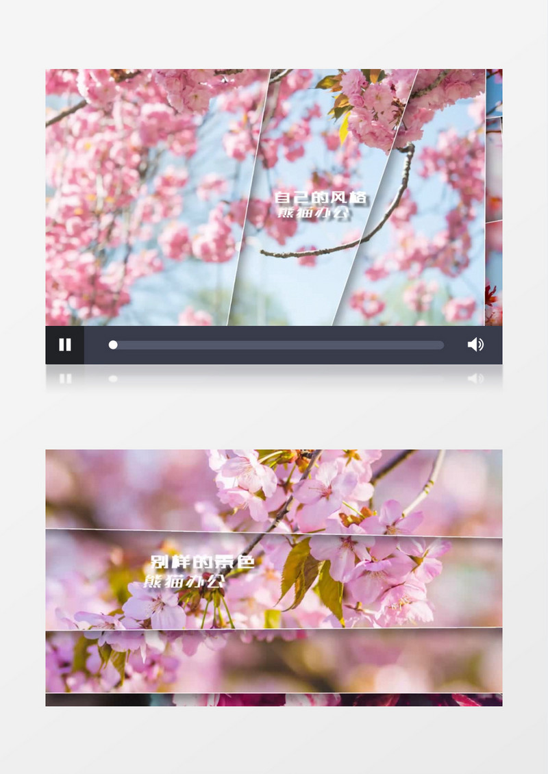 清新樱花风景图片展示ae视频模板
