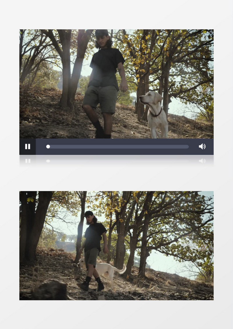 一个男人和他的狗在森林散步实拍视频素材