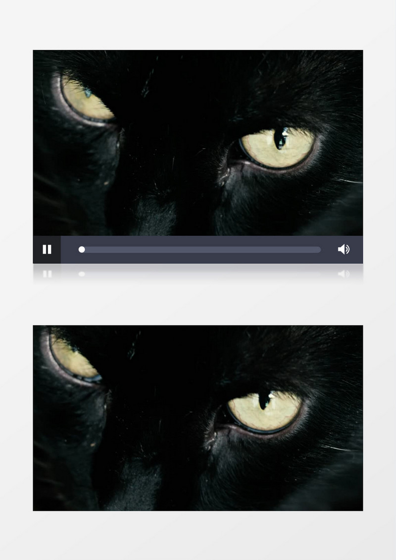  眨着黄色眼睛的黑猫实拍视频素材