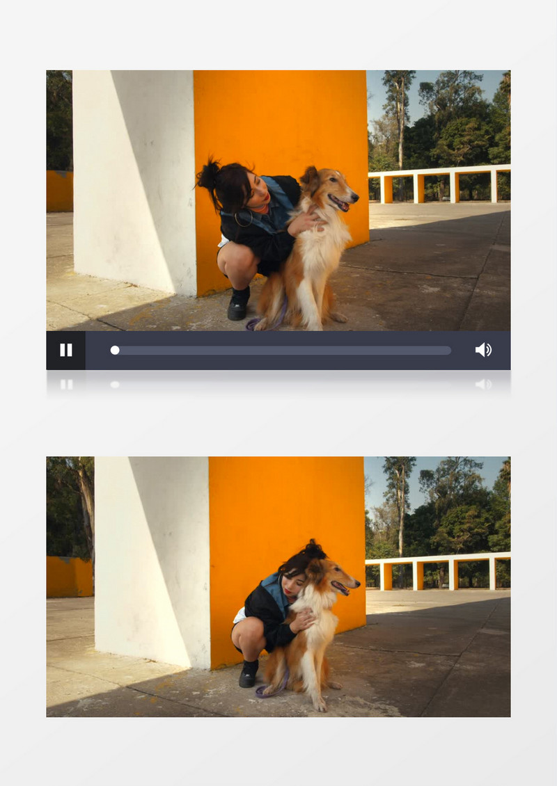 一个女人在公园拥抱抚摸自己的狗实拍视频素材