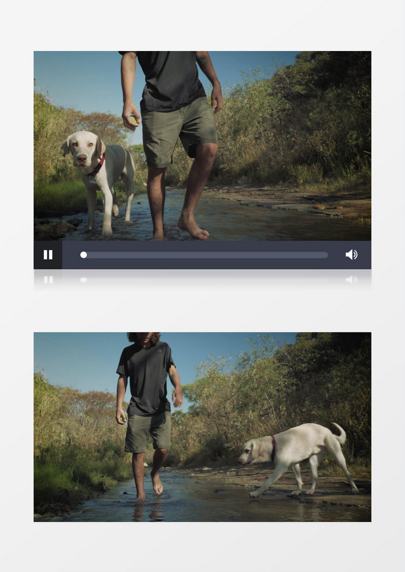 穿短裤的男人和狗在河里慢走实拍视频素材