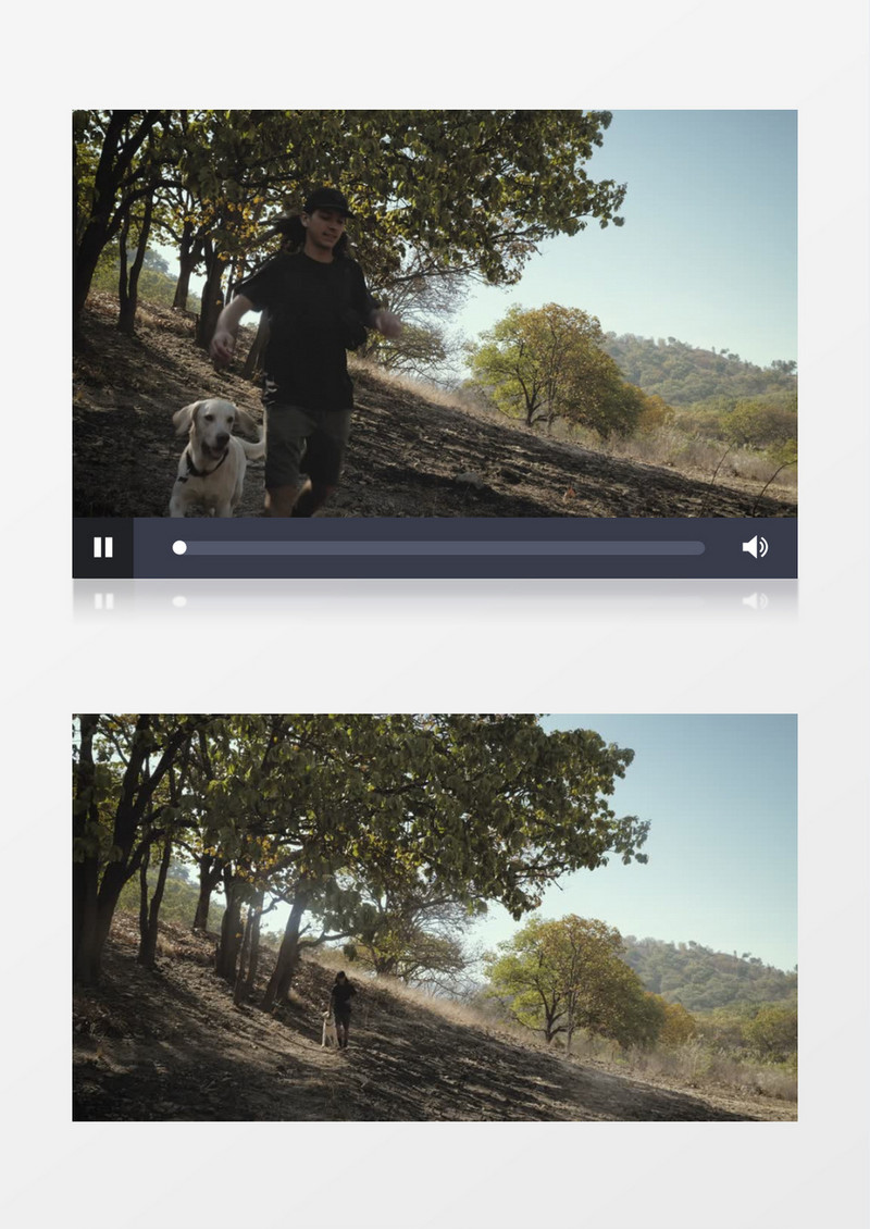一个年轻男子和他的狗在森林玩耍实拍视频素材