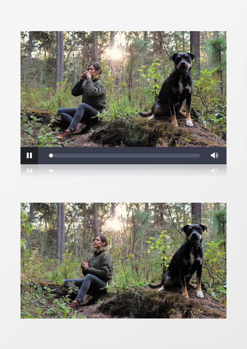 美女和她的狗在森林静坐实拍视频素材