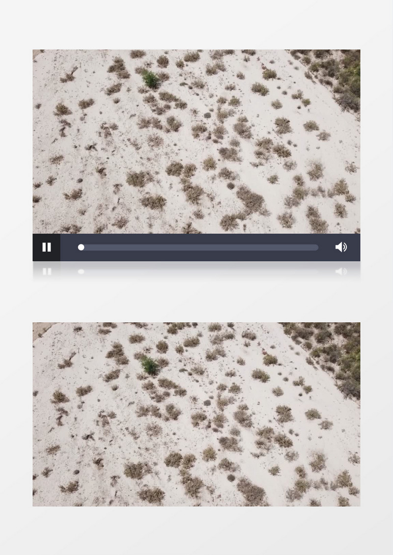 沙漠植被自然景色实拍视频