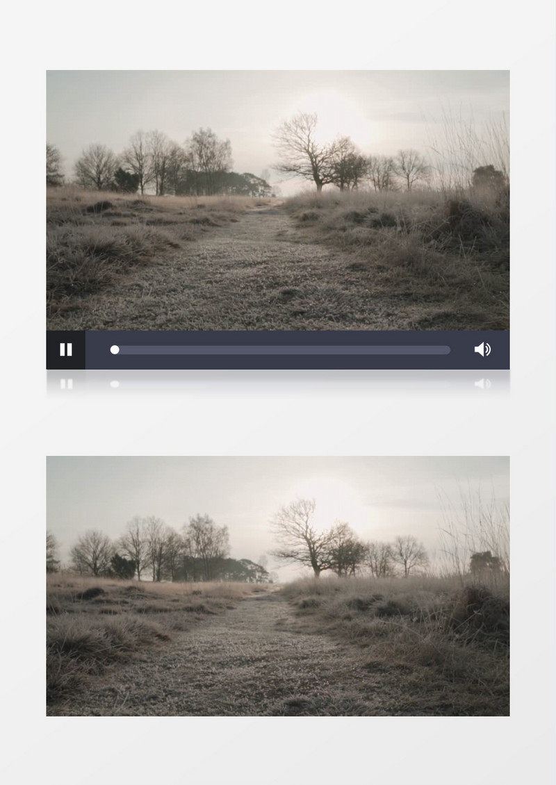 冬季枯木荒草的道路景色实拍视频