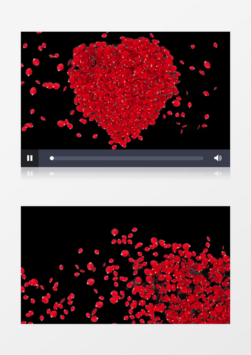 红色玫瑰花瓣掉落聚集后散开动态视频元素
