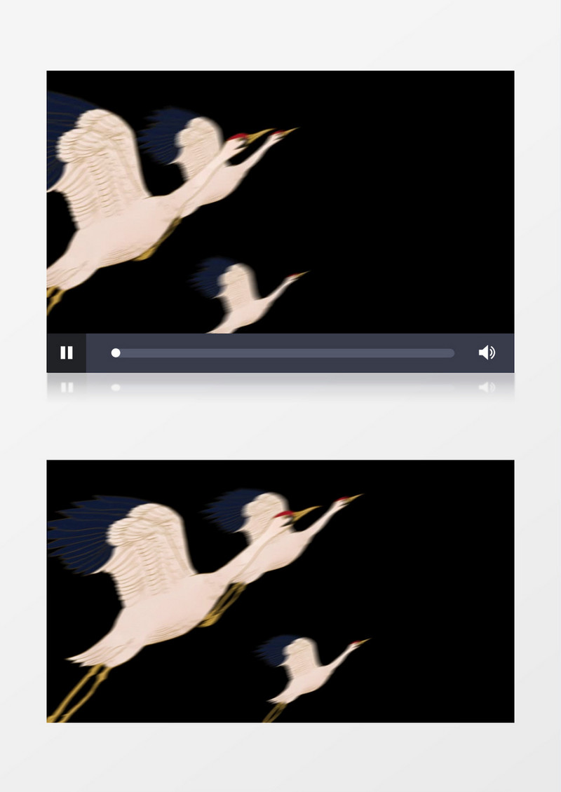 中国风三只白鹤动态后期视频素材