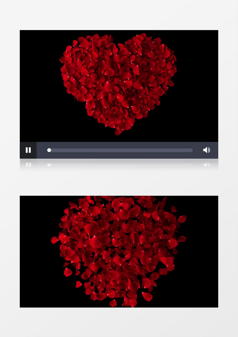 红色玫瑰花爱心花瓣缓缓飞起变成一片片飘落动态视频元素