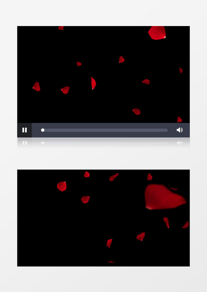 红色玫瑰花瓣缓缓飘落动态视频素材