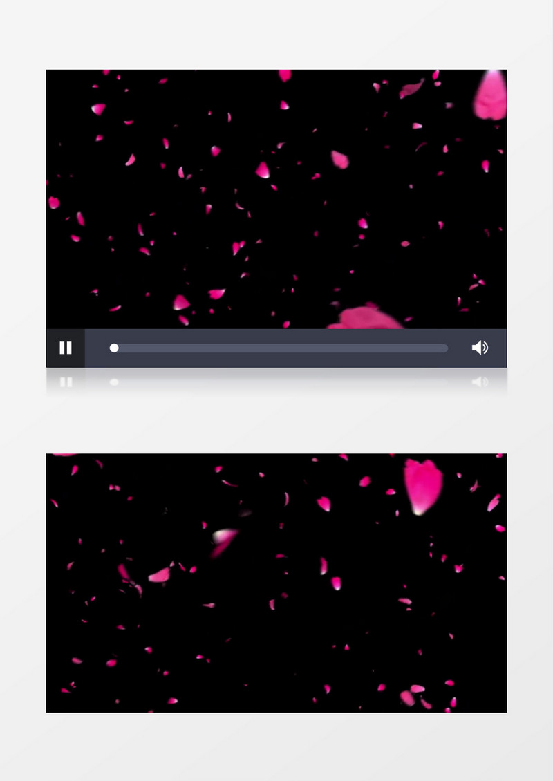 粉色玫瑰花瓣随着风慢慢飞舞飘动视频素材
