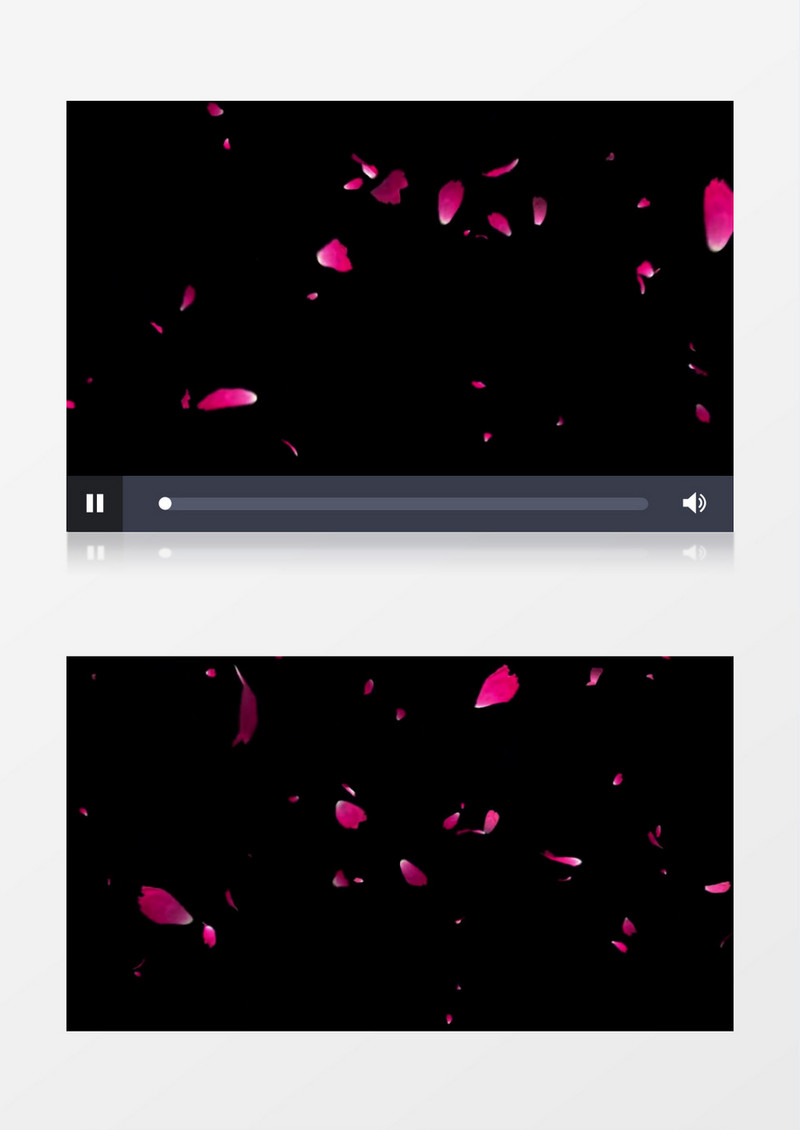 粉色玫瑰花缓缓飘落动态视频素材