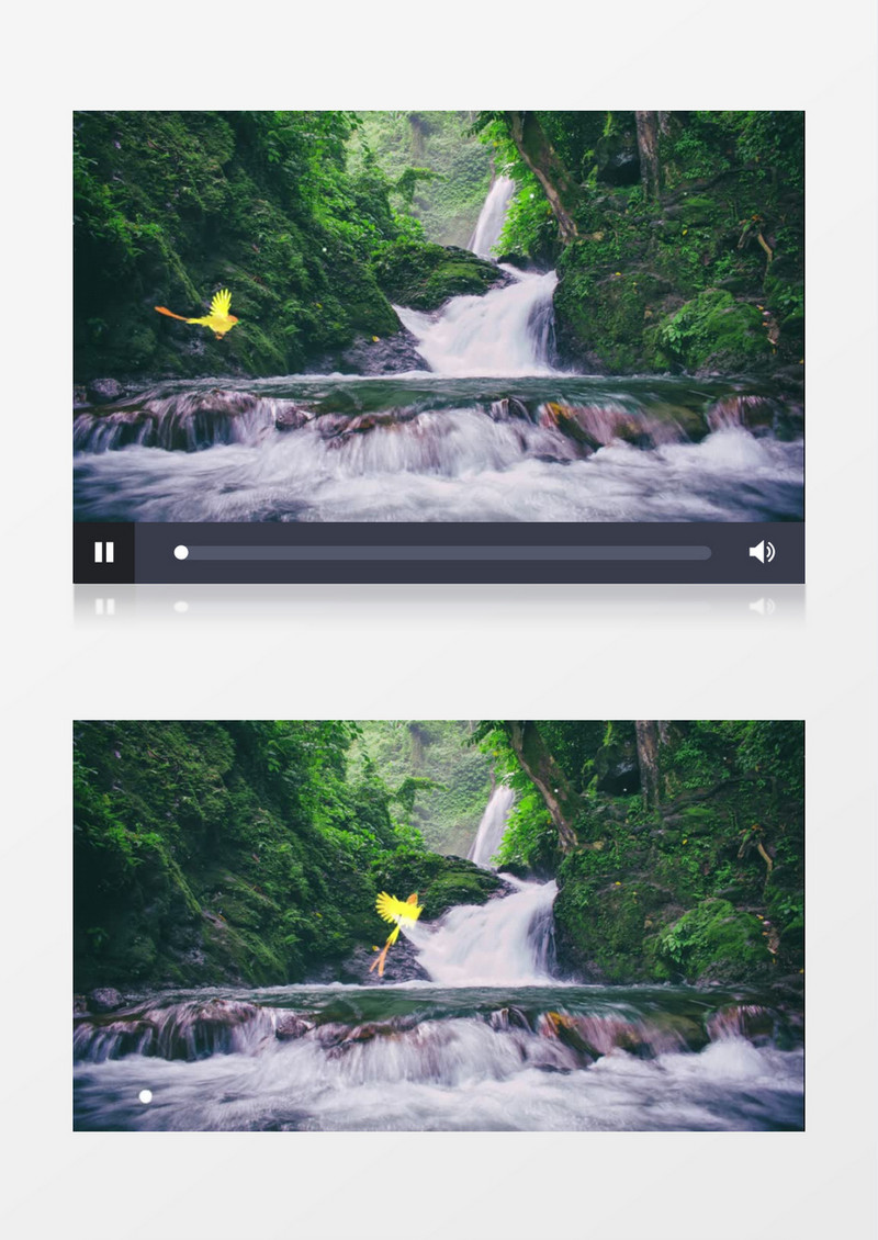 林间瀑布动态视频背景