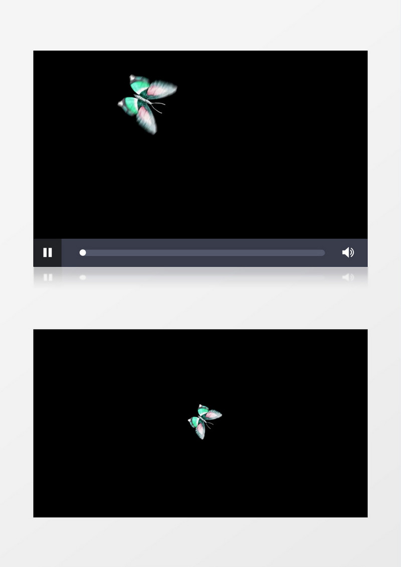 绿色蝴蝶飞舞后期视频元素