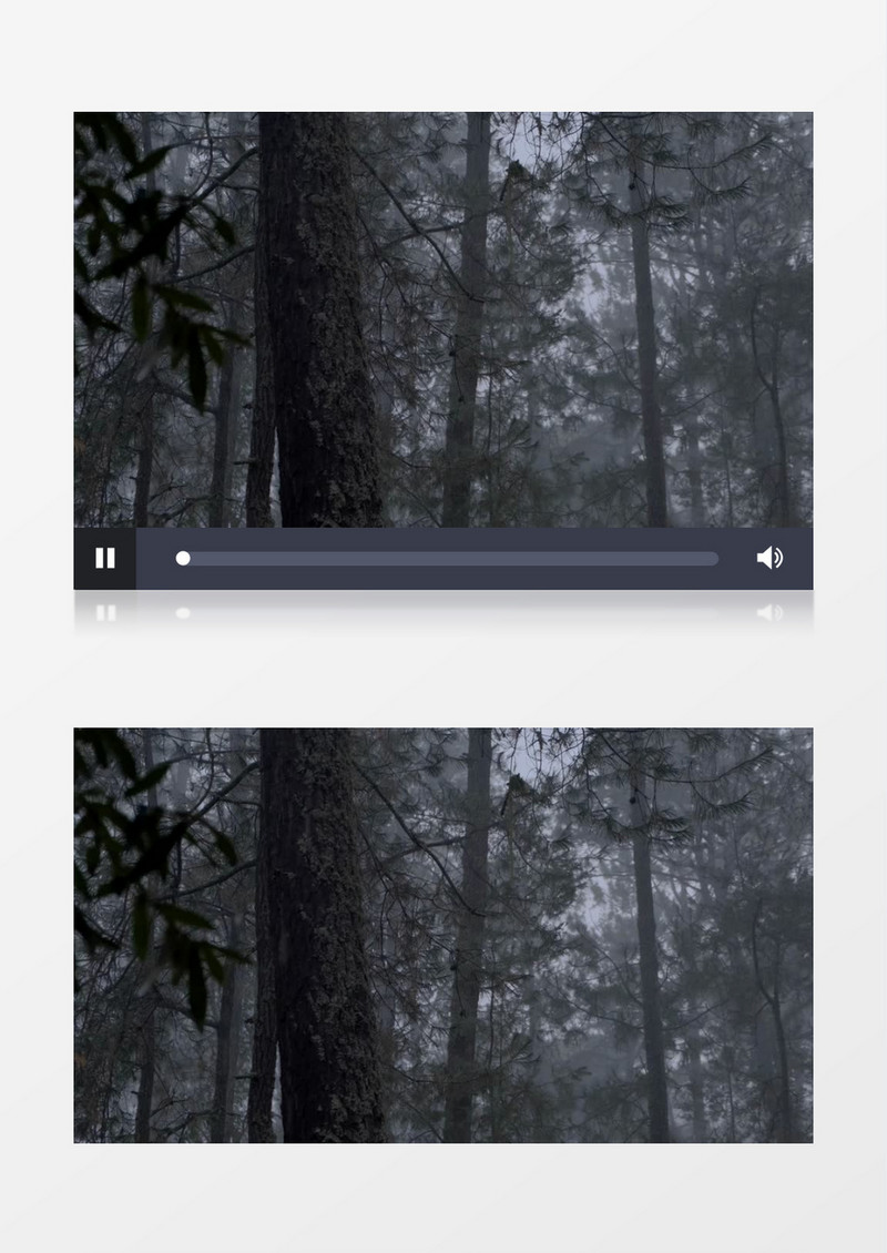 雨中森林雾气缭绕实拍视频素材