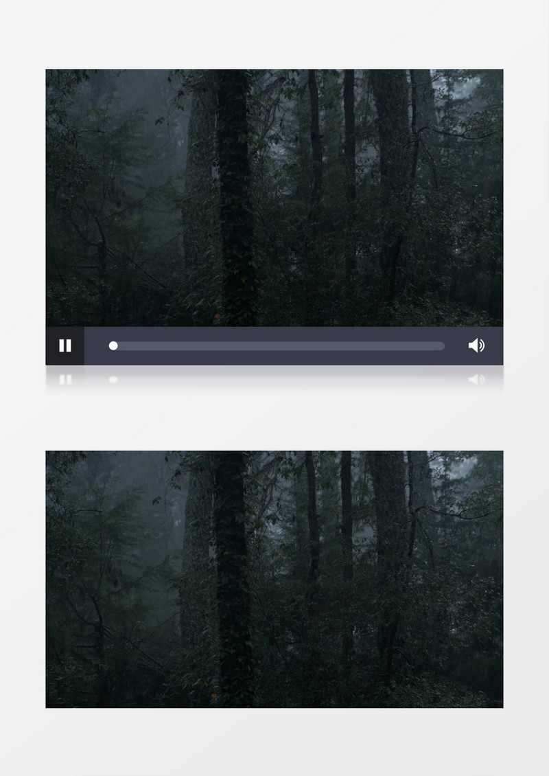 雨下的夜晚迷雾森林实拍视频
