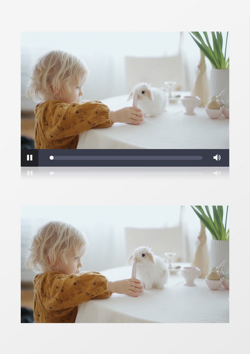 小女孩在跟兔子玩耍实拍视频素材