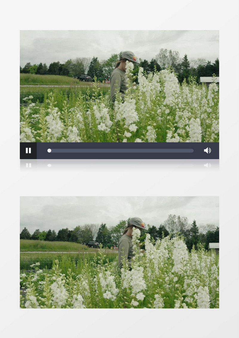 高清实拍花卉师在花圃里剪花实拍视频素材
