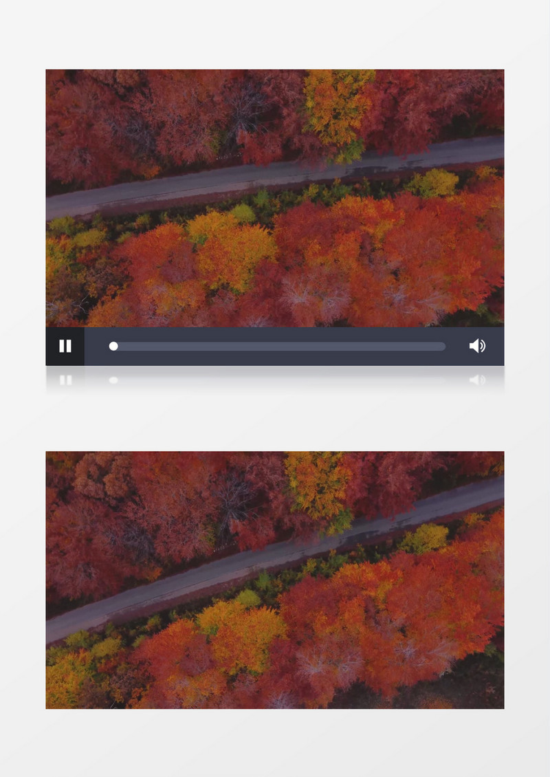 俯拍秋季森林中变红的树木实拍视频素材