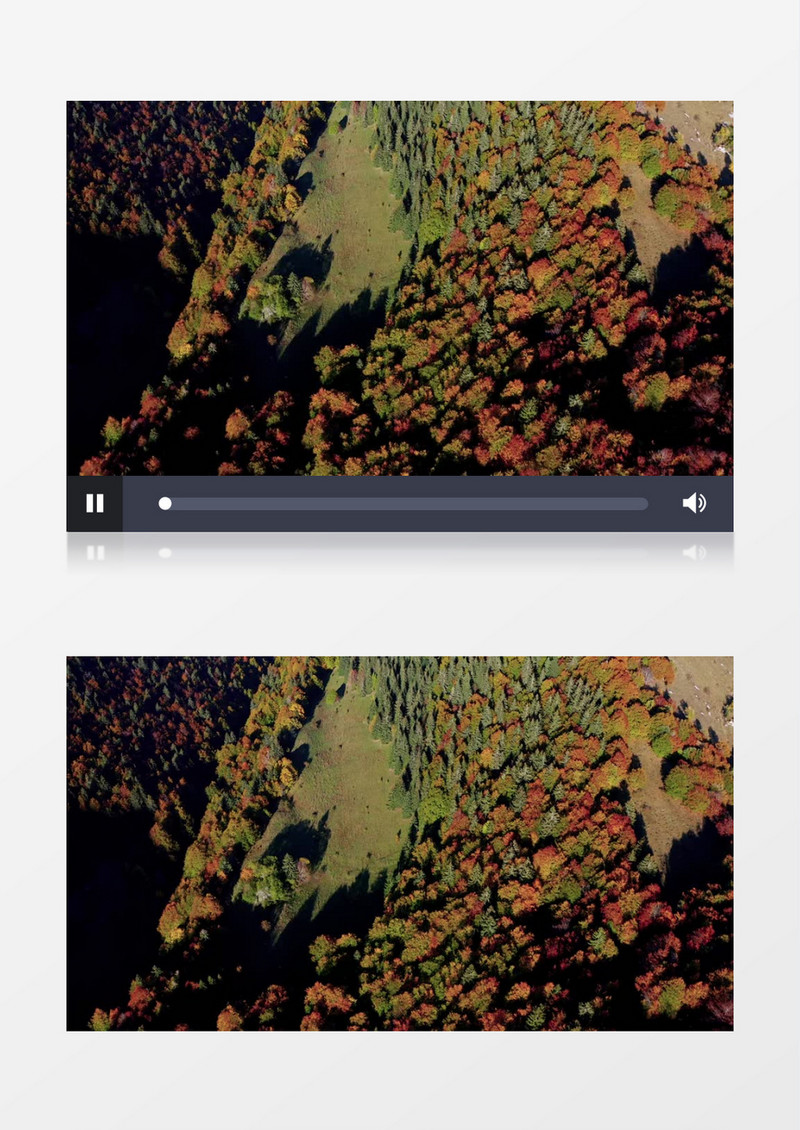 秋季树叶开始变黄的山林植被实拍视频素材