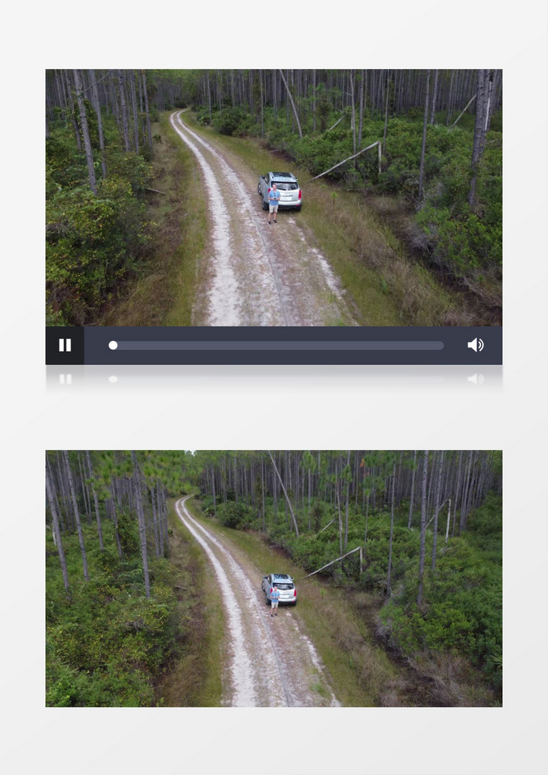 航拍森林中的植被景象实拍视频素材