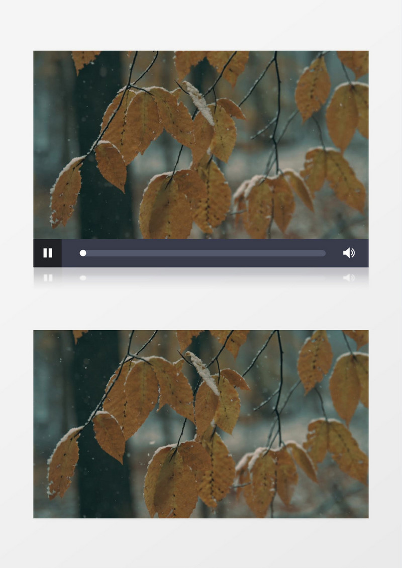 树叶被缓缓飘落的雪花慢慢覆盖实拍视频素材