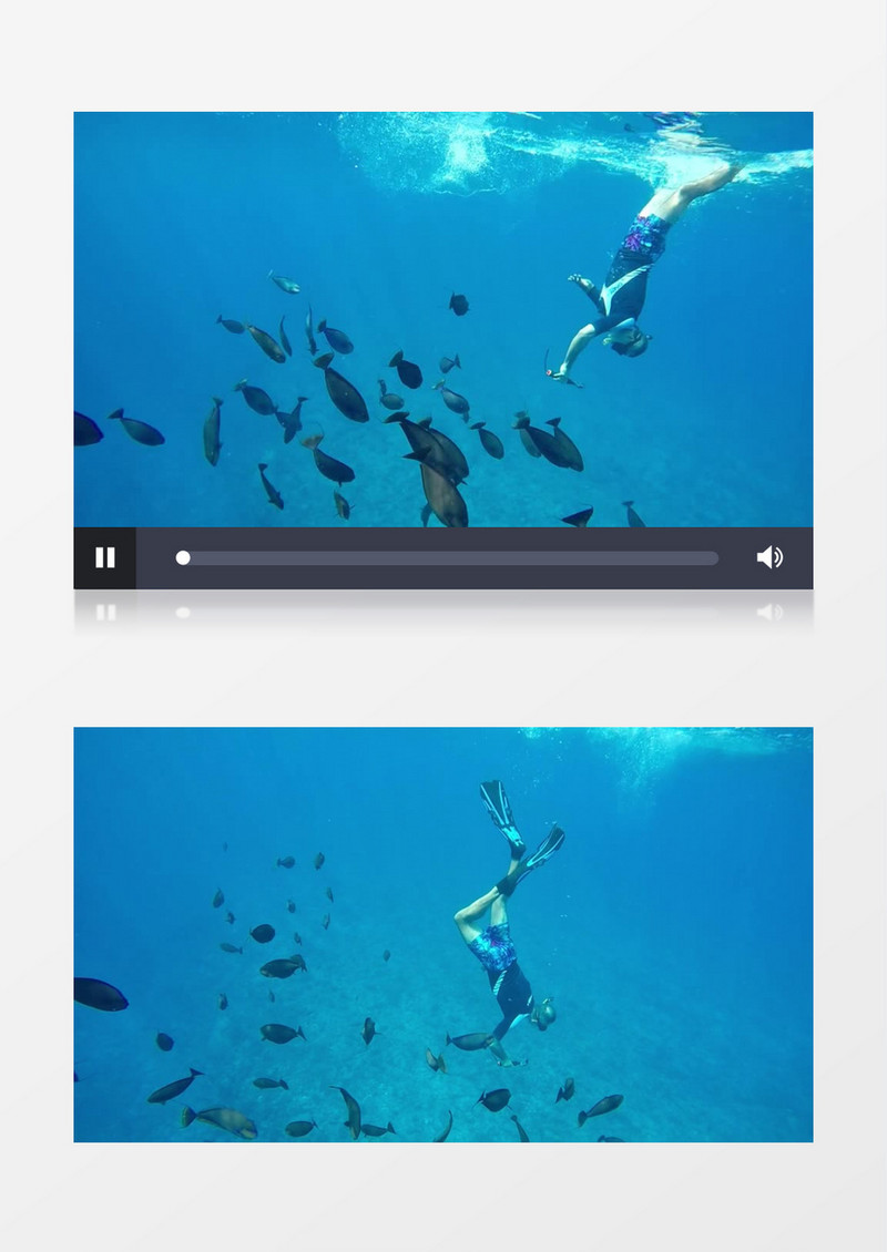 潜水员在海底深潜实拍视频素材