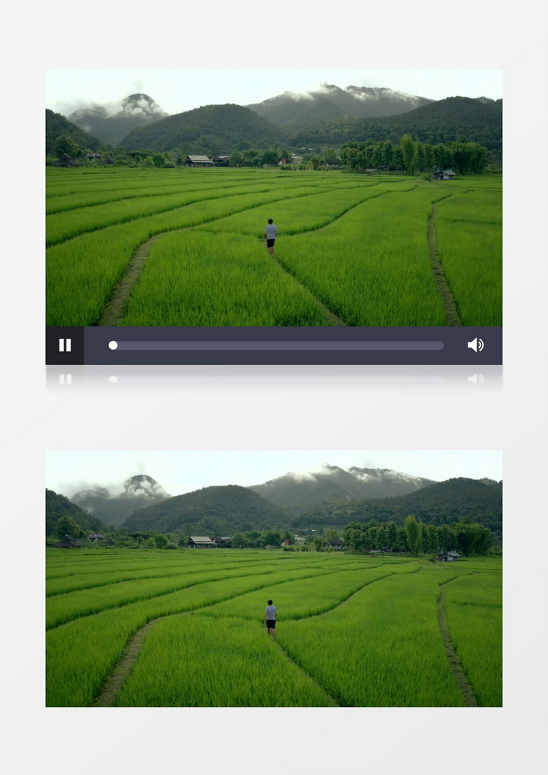 绿油油的农作物和远山景象实拍视频素材