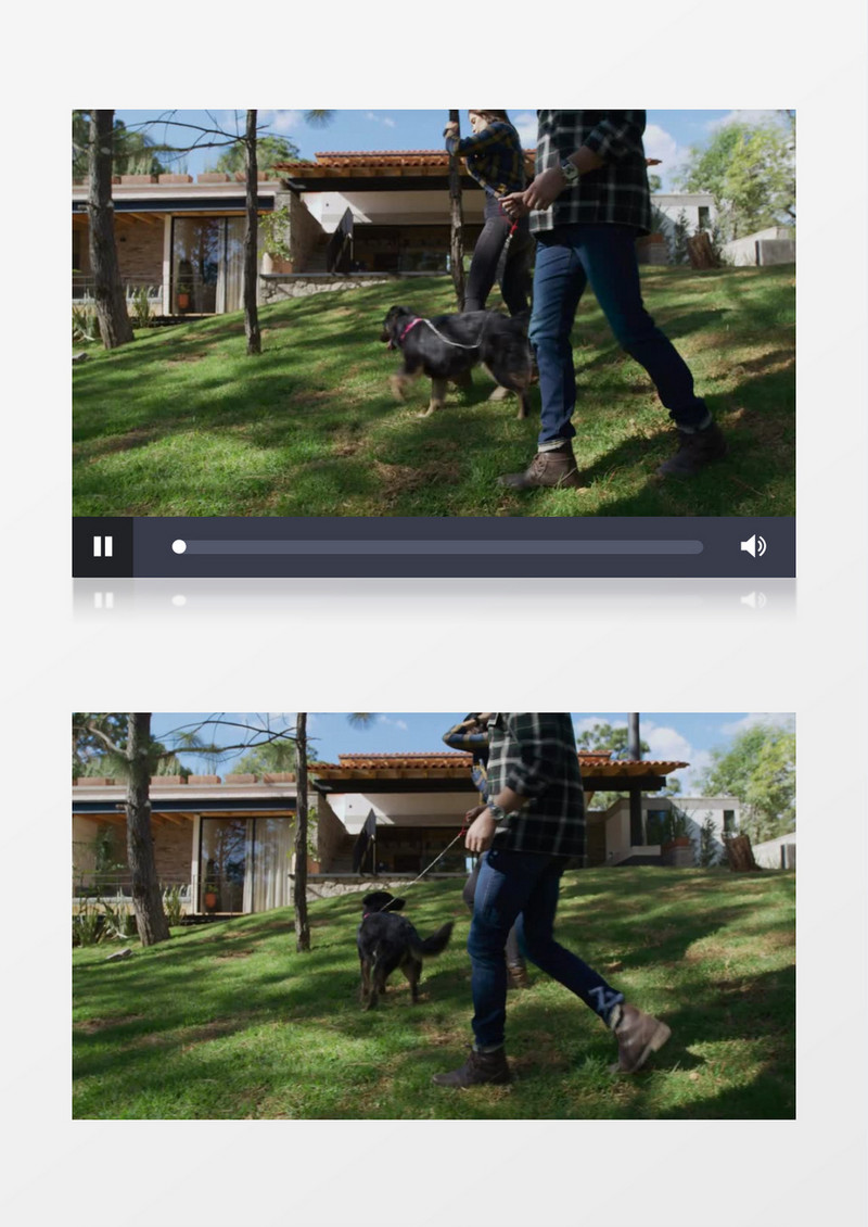 一对情侣在牵着狗散步实拍视频素材