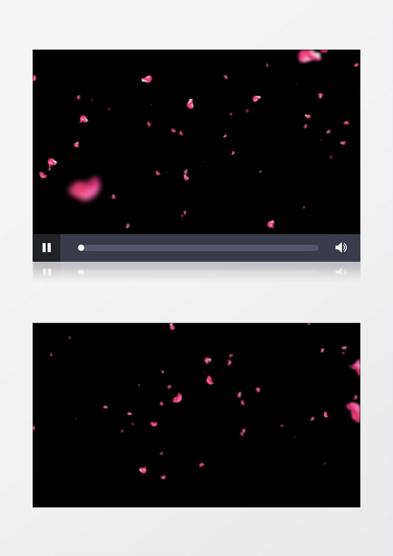 粉色花瓣飘落透明通道视频
