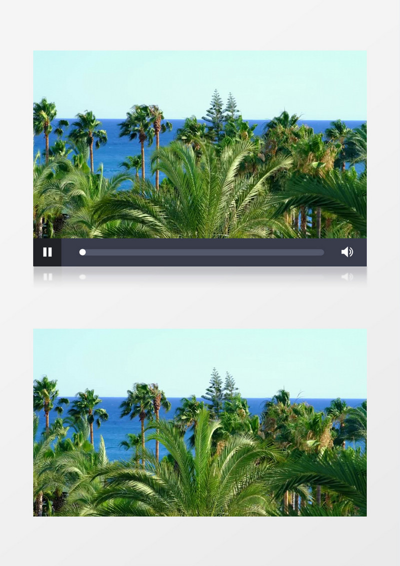 海边随风摇曳的椰子树实拍视频素材