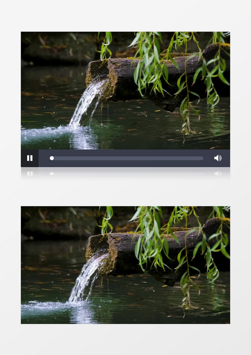 枯树上潺潺流动的水流实拍视频素材