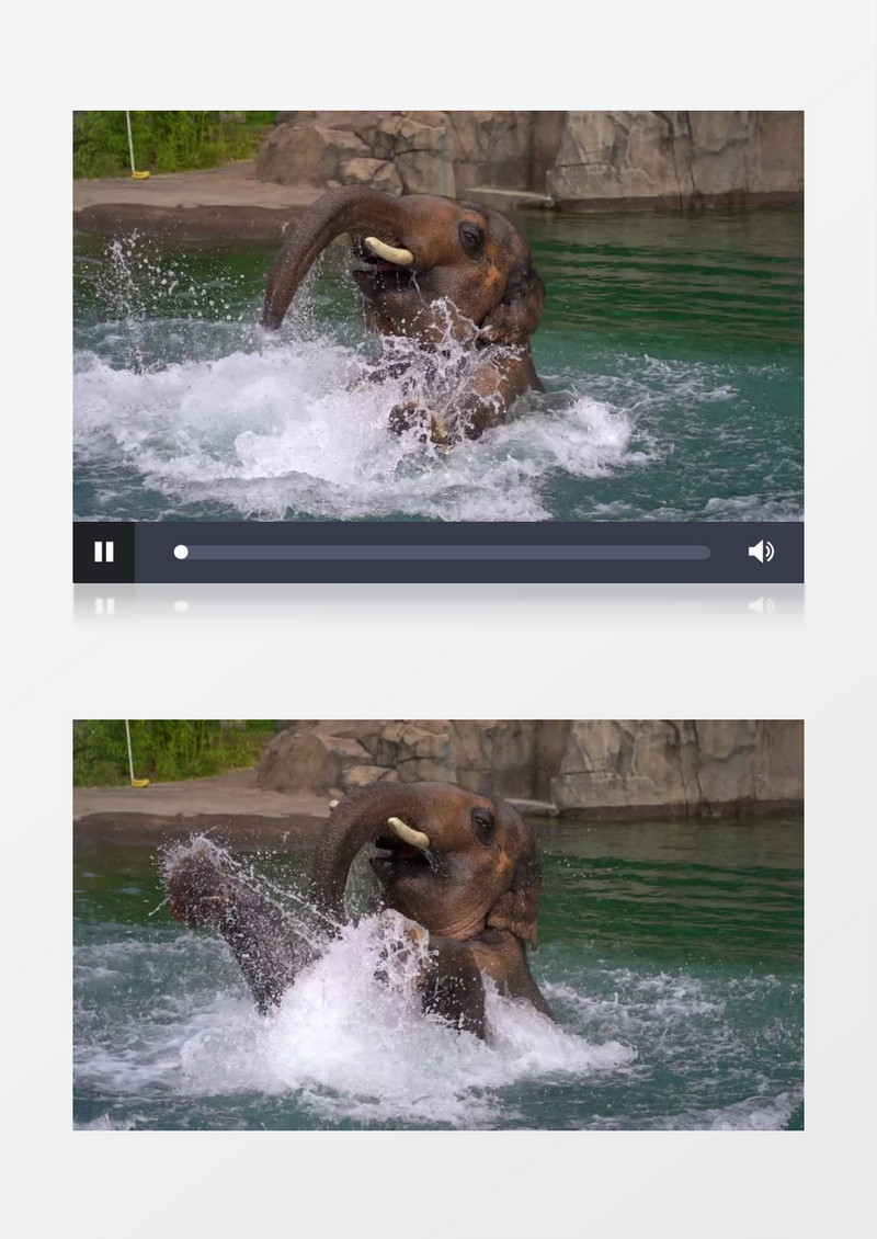 大象在水里嬉戏玩耍实拍视频素材