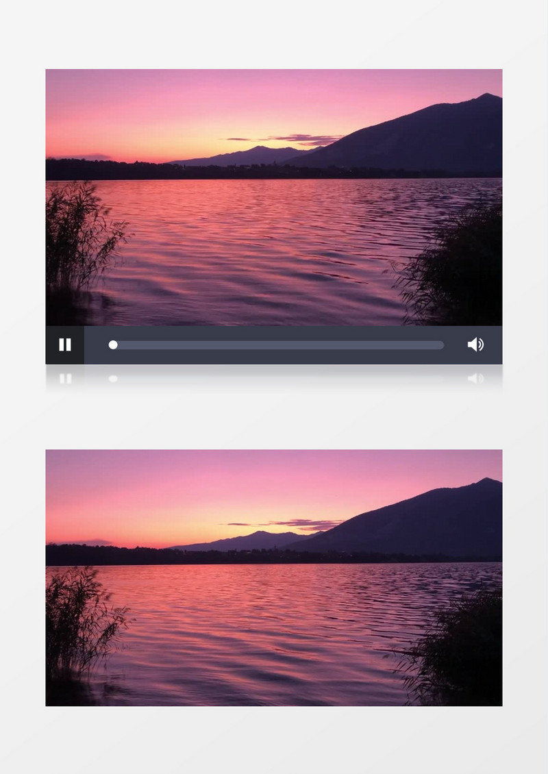 夕阳下的小鸭子在湖面游荡实拍视频素材