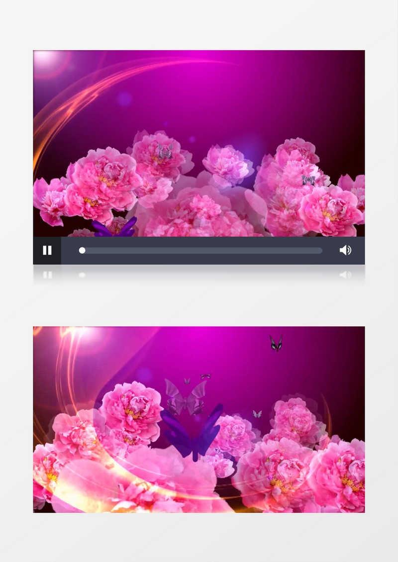 紫色唯美牡丹蝴蝶光线背景视频（有音乐）