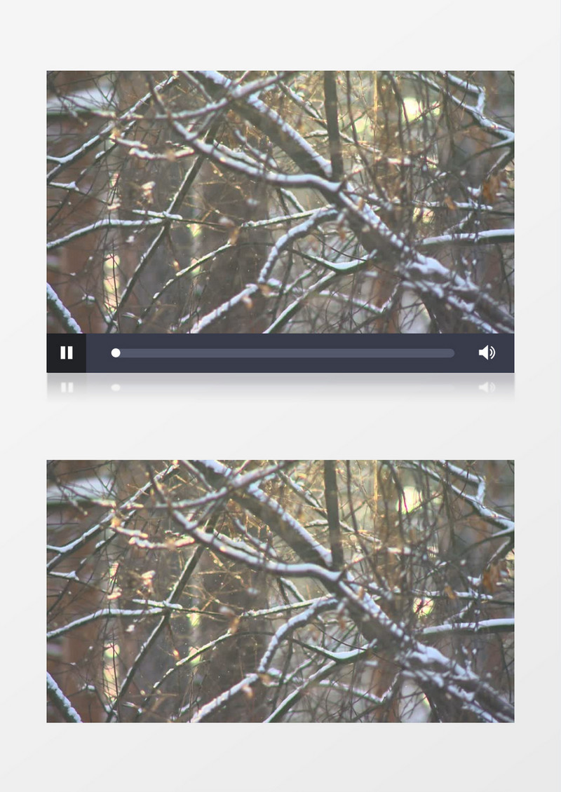 下雪的时候树枝长了出来实拍视频素材