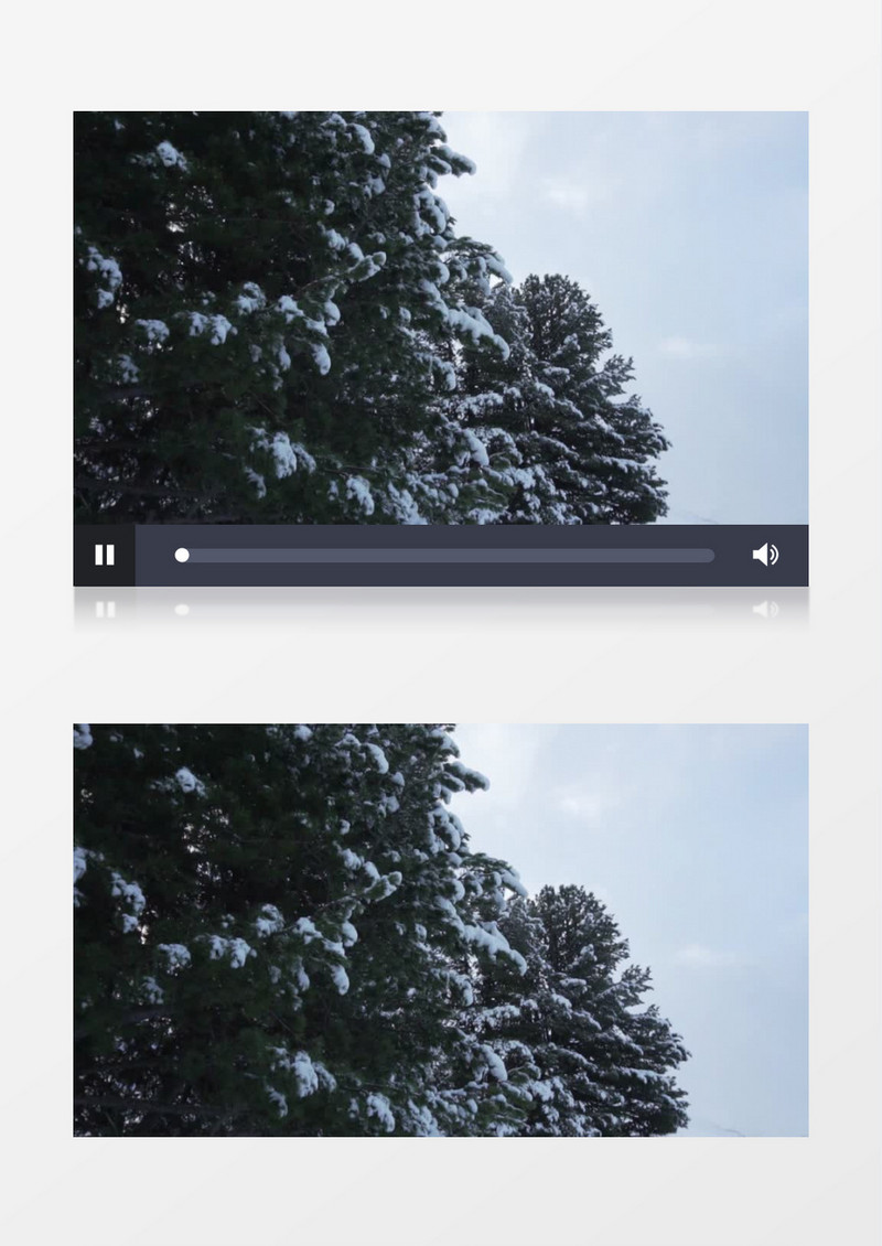 高清拍摄松枝上有雪实拍视频素材