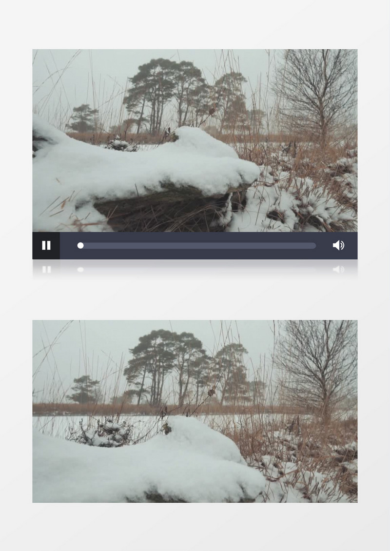 积雪覆盖的森林实拍视频素材