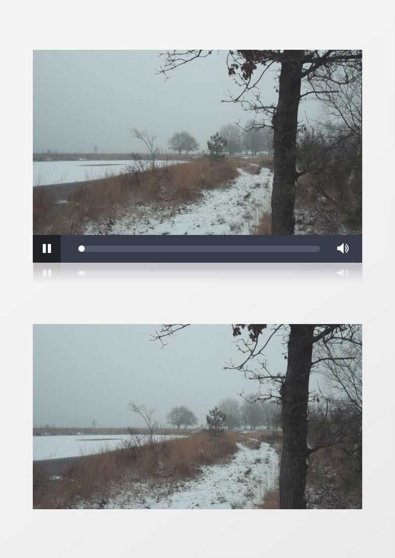 冬季森林里的冰湖实拍视频素材