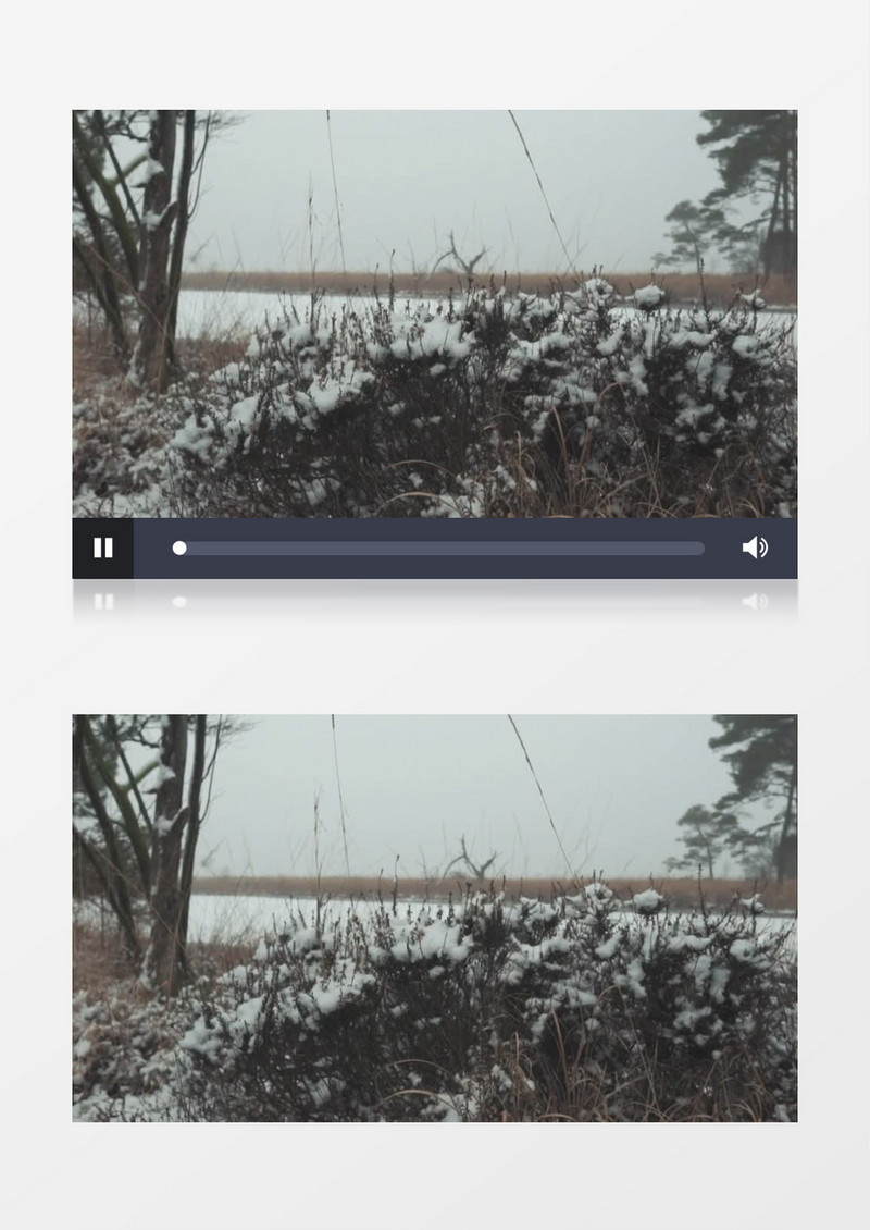 雪覆盖了树旁的草地和冰冻的湖泊实拍视频素材