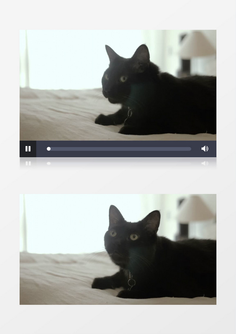 一只黑猫坐在床上环顾四周实拍视频素材